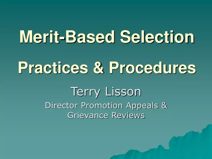 merit based selection practices procedures