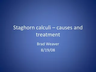 Staghorn calculi – causes and treatment