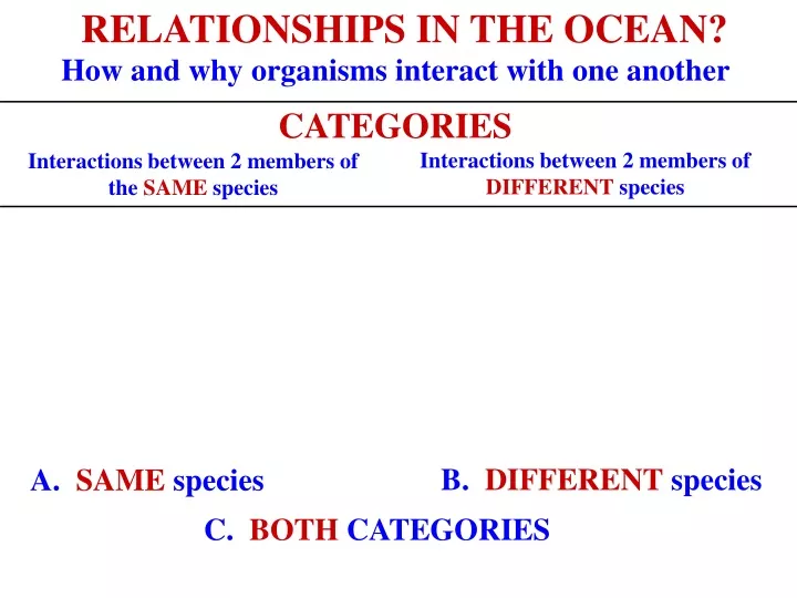 relationships in the ocean