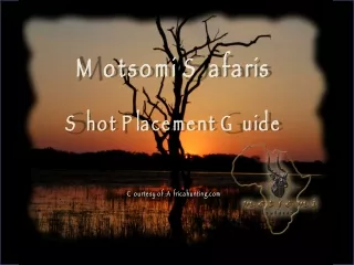 Motsomi Safaris Shot Placement Guide Courtesy of :Africahunting