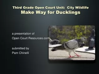Third Grade Open Court Unit:  City Wildlife Make Way for Ducklings