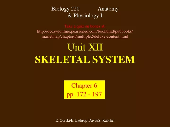 unit xii skeletal system