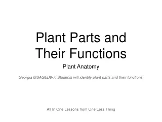 Plant Parts and  Their Functions