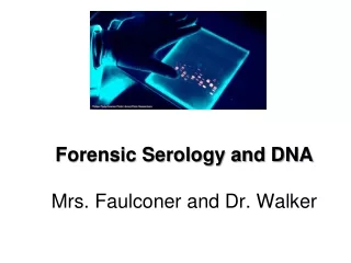 Forensic Serology and DNA Mrs.  Faulconer  and Dr. Walker