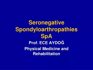 Seronegative Spondyloarthropathies SpA