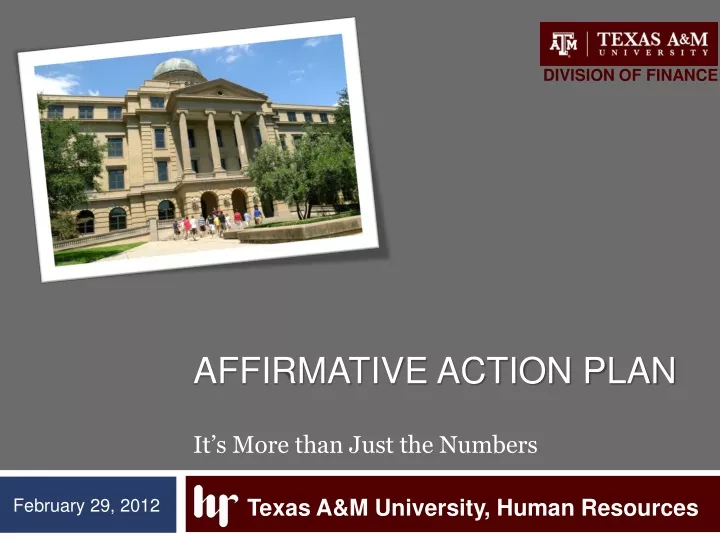 affirmative action plan it s more than just the numbers
