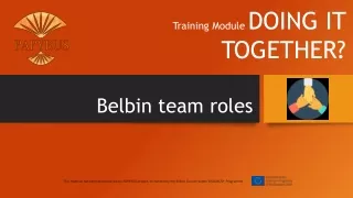 Belbin team roles