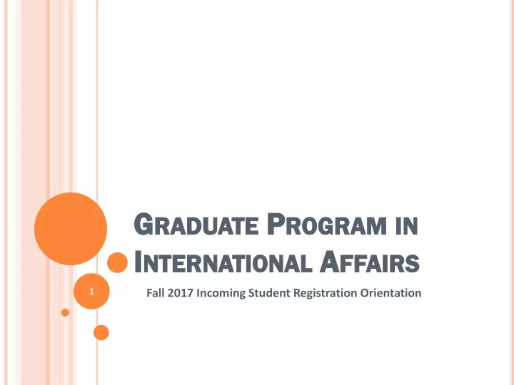 graduate program in international affairs