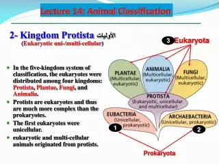 Lecture 14: Animal Classification