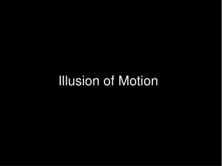 Illusion of Motion