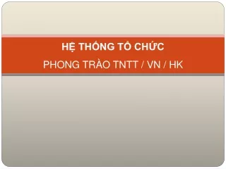 Hệ Thống Tổ Chức Phong  Trào  TNTT / VN / HK