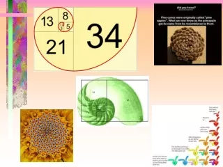 Fun Facts about the Fibonacci Sequence