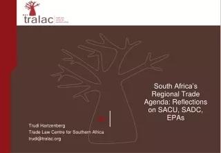 South Africa’s Regional Trade Agenda: Reflections on SACU, SADC, EPAs