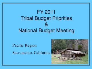 FY 2011 Tribal Budget Priorities  &amp; National Budget Meeting