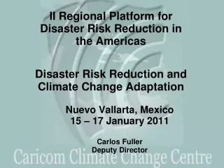 Nuevo Vallarta, Mexico 15 – 17 January 2011  Carlos Fuller Deputy Director