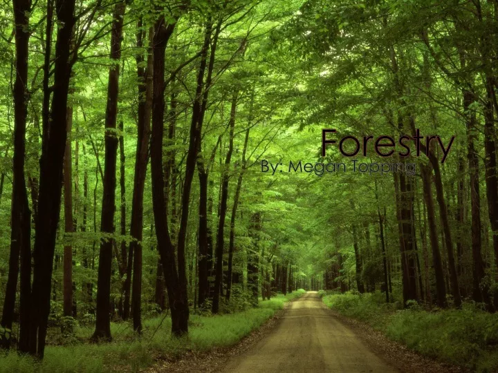 forestry