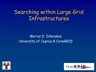 Searching within Large Grid Infrastructures
