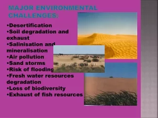 Major environmental challenges: