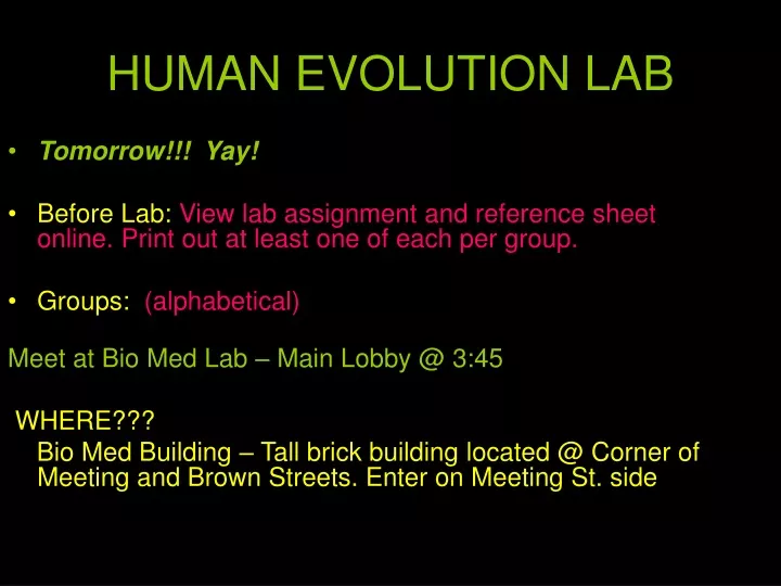 human evolution lab