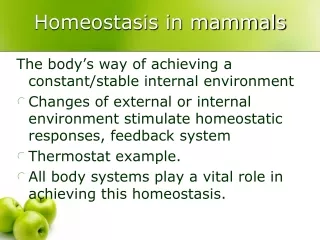 Homeostasis in mammals