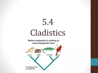 5.4 Cladistics