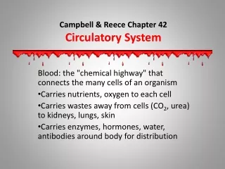 Campbell &amp; Reece Chapter 42 Circulatory System
