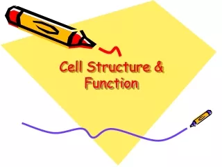 Cell Structure &amp; Function