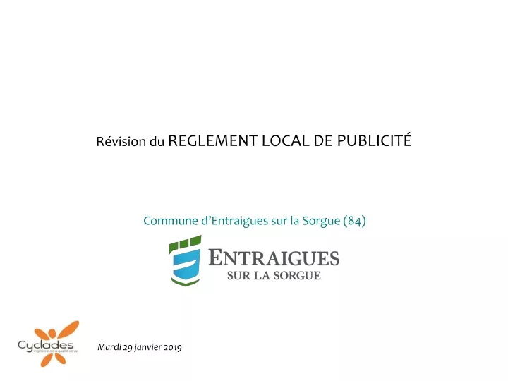 r vision du reglement local de publicit