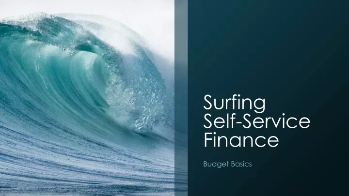 surfing self service finance