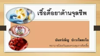 เชื้อดื้อยาต้านจุลชีพ