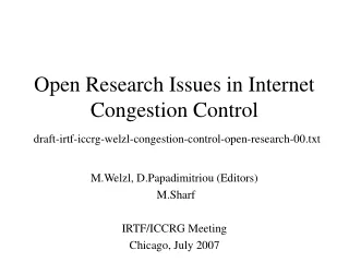 M.Welzl, D.Papadimitriou (Editors)  M.Sharf IRTF/ICCRG Meeting Chicago, July 2007