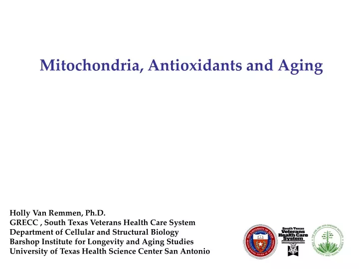 mitochondria antioxidants and aging