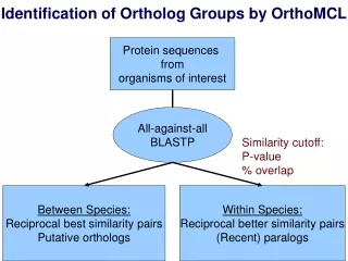 Identification of Ortholog Groups by OrthoMCL