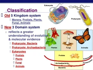 Classification