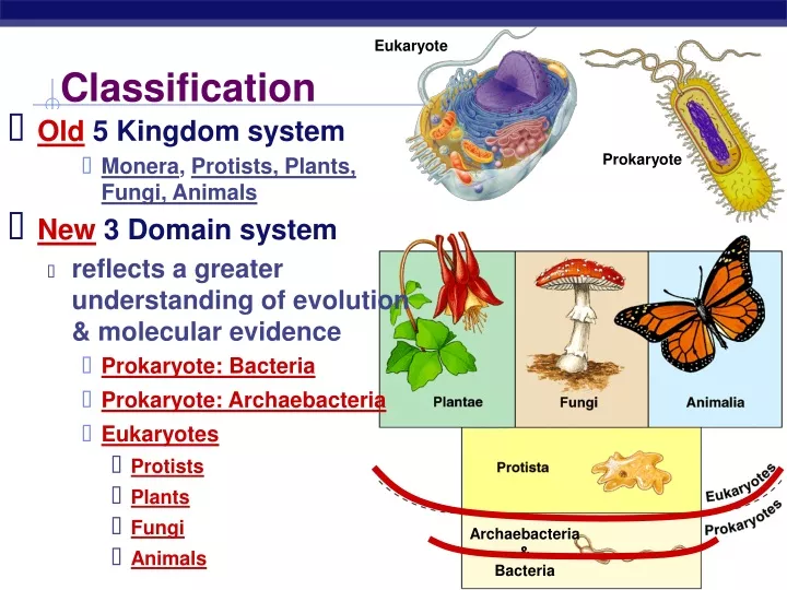 classification