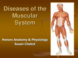 Diseases of the Muscular System