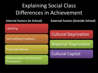 Explaining Social Class  Differences in Achievement