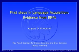 First steps in Language Acquisition: Evidence from ERPs