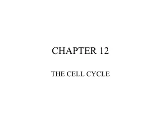 CHAPTER 12