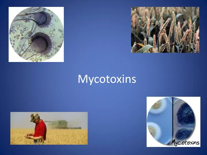 mycotoxins