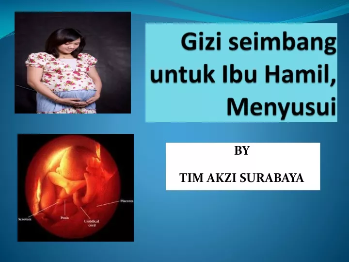 gizi seimbang untuk ibu hamil menyusui