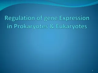 Regulation of gene Expression in Prokaryotes &amp; Eukaryotes