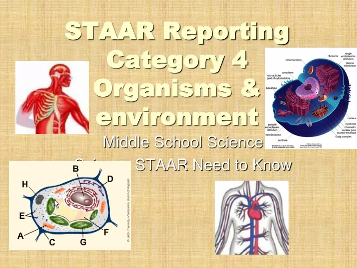 staar reporting category 4 organisms environment