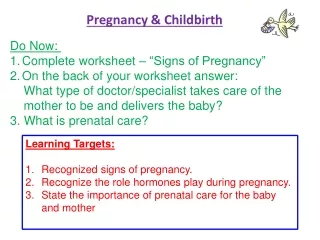 Pregnancy &amp; Childbirth