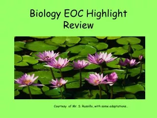 Biology EOC Highlight Review