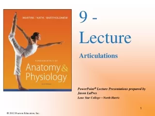 9 - Lecture Articulations