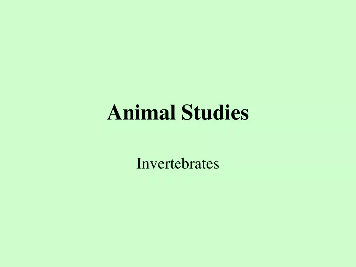animal studies