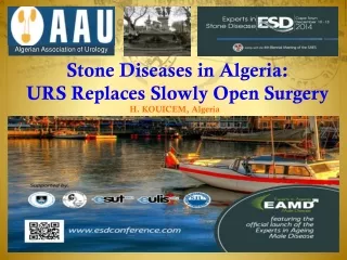 Stone Diseases in Algeria: URS Replaces Slowly Open Surgery
