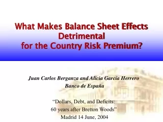 What Makes Balance Sheet Effects Detrimental  for the Country Risk Premium?