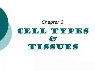 Cell Types  &amp;  Tissues